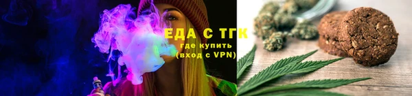 индика Алзамай