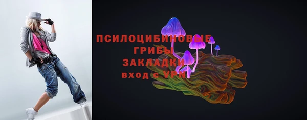 амф Алексин
