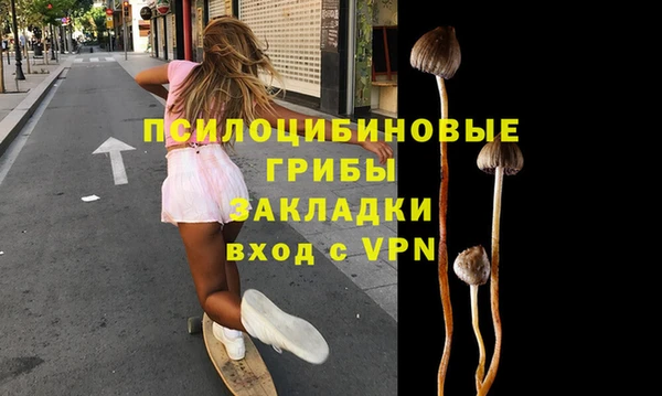 индика Алзамай