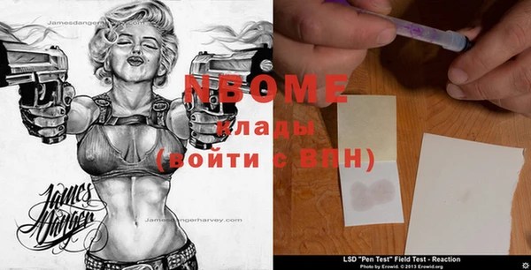 индика Алзамай