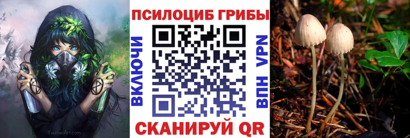Галлюциногенные грибы мицелий  купить наркоту  Бокситогорск 